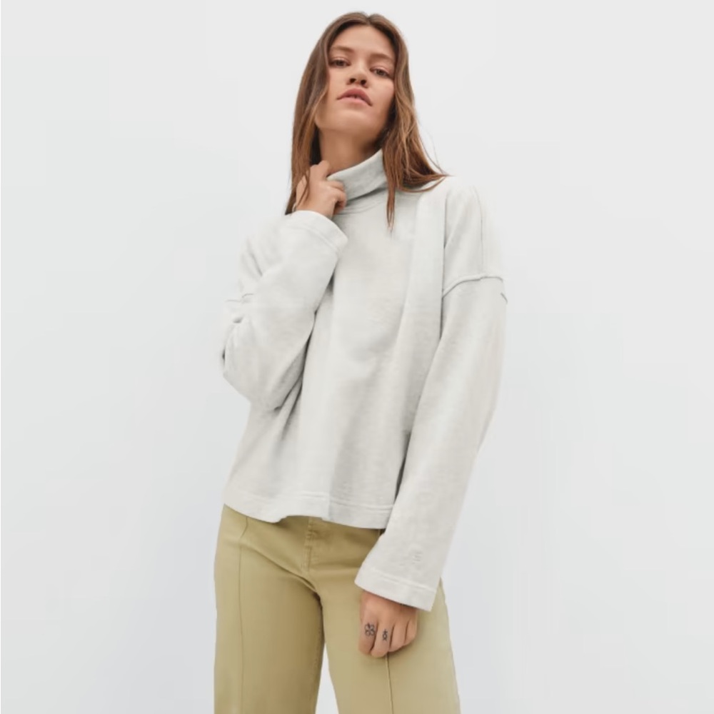 Everlane Turtleneck Sweatshirt